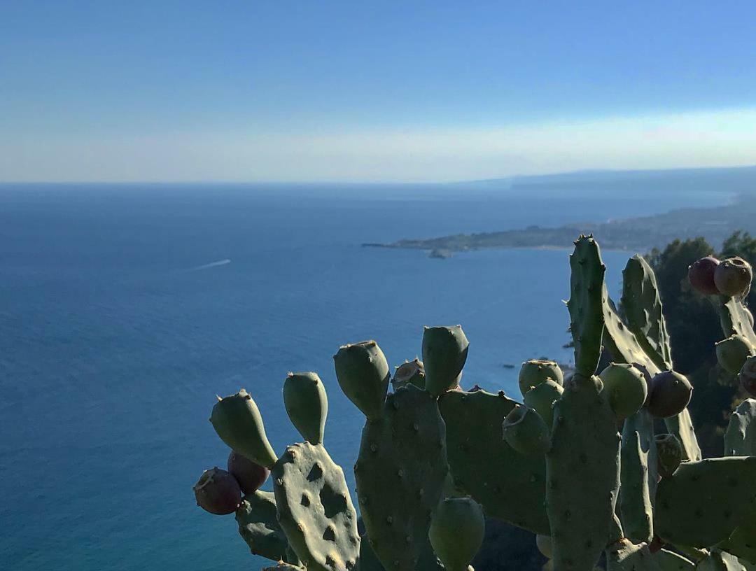 La Baia Dei Delfini *